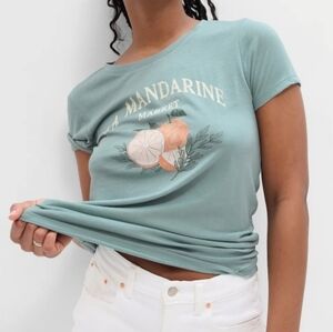 GAP graphic tee tshirt crew neck short sleeve teal turquoise blue peach XL